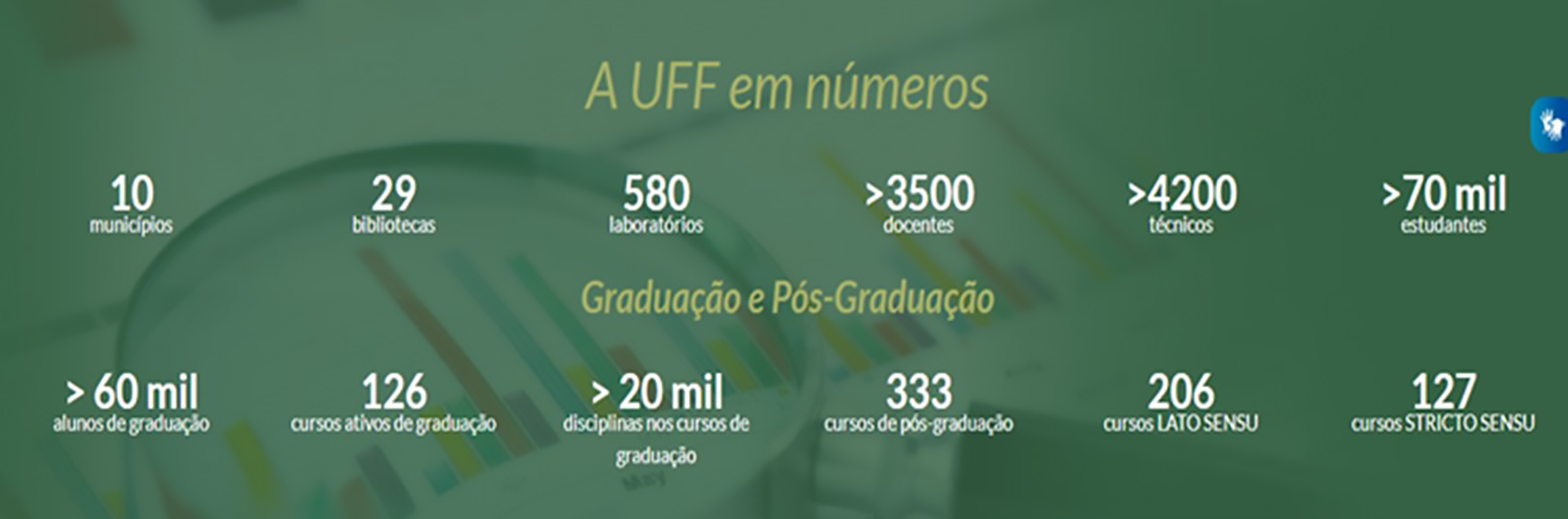 UFF em números